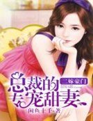 二嫁豪门:总裁的专宠甜妻
