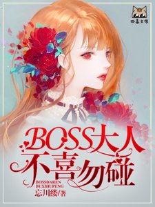 BOSS大人,不喜勿碰!