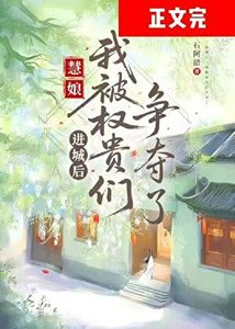 進城後,我被權貴們爭奪了